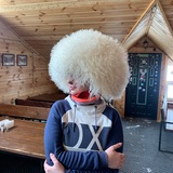 Telegram profile photo for Я и мои 40 кошек