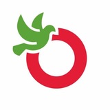 Telegram profile photo for Макс Нотов