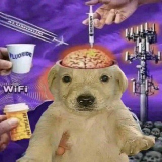 Telegram profile photo for ROB Updates