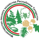 Telegram profile photo for Минлесхоз Татарстана