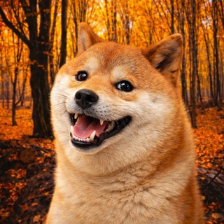 Telegram profile photo for Ясамато Хужесуки