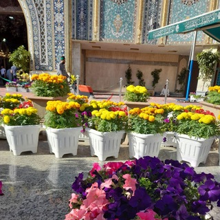 Telegram profile photo for بَـغـداد