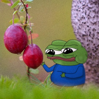 Telegram profile photo for Apusthetics 🐸