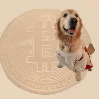 Telegram profile photo for 加密的瘋狗CryptoDooog