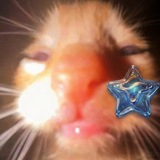 Telegram profile photo for NIHUYA