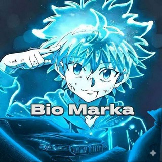 Telegram profile photo for Bio