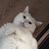 Telegram profile photo for Милки на каждый день