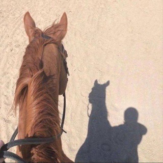 Telegram profile photo for قرأني. قصيده.