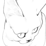 Telegram profile photo for buhanki