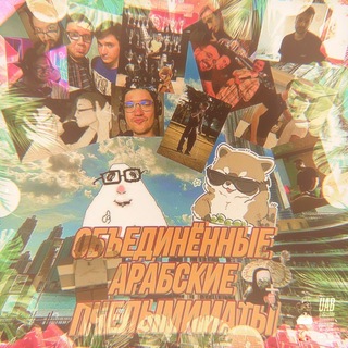 Telegram profile photo for Объединённые Арабские Пчелымиматы 🦝🐹🐢