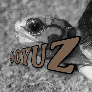 Telegram profile photo for Soyuz 📚 Historia