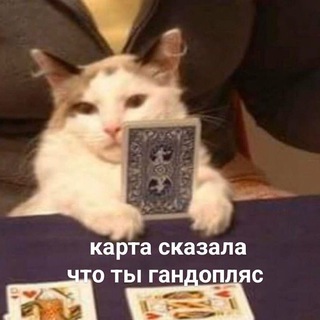 Telegram profile photo for almost ideal system