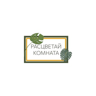 Telegram profile photo for Расцветай комната