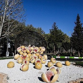 Telegram profile photo for زرین دانه استهبان