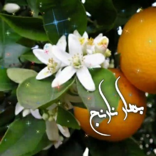 Telegram profile photo for شعر بهـارنـارنـ🍃ـج