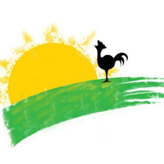Telegram profile photo for کانال رسمی محمود سلطانی