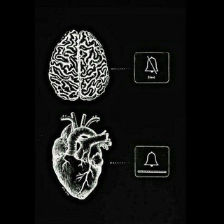 Telegram profile photo for مغزِ زنگ زده