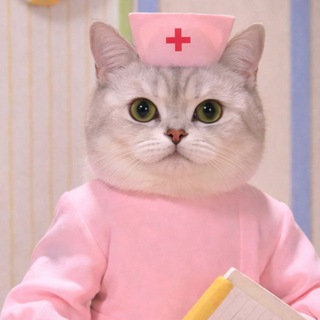 Telegram profile photo for Щоденник шизіка