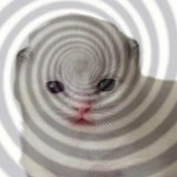 Telegram profile photo for ОТА | Ауки | Uzumarrus