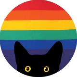 Telegram profile photo for Crashes, Cats & Calmness