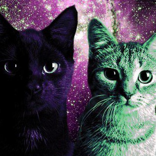 Telegram profile photo for jaga w aliens .