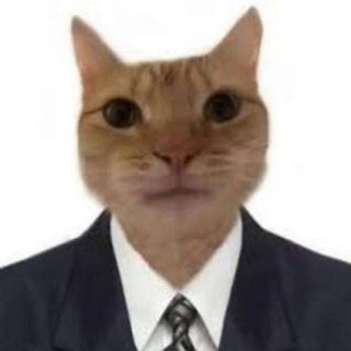 Telegram profile photo for ๐ฑ๐ง๐ธ๐ฆ๐ช๐ฌ๐ต๐ธ๐ฎ๐ถ48ู
ุณุชุฑ ุญูุจููุฉ