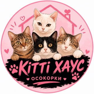 Telegram profile photo for KITTY_HOUSE_OSOKORKY😻Притулок для котиків Київ🫶🏼