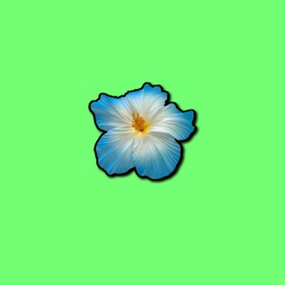 Telegram profile photo for какой то левый челик