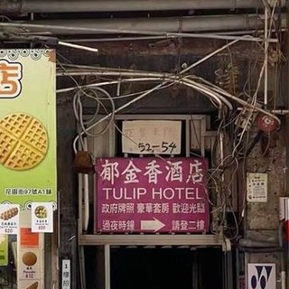 Telegram profile photo for 香港hk扫楼洗楼一楼一凤141 161 一樓一鳳 鳳姐掃樓洗樓