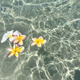 Telegram profile photo for ♡. daily hush: where small things feel sacred 🪷