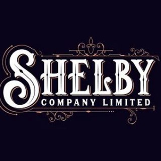 Telegram profile photo for Info Shelby VLD 44