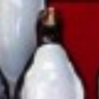 Telegram profile photo for Cadunico