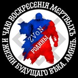 Telegram profile photo for ZVoN Родины 🤙