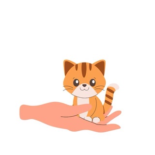 Telegram group profile photo for Сотня кошек Волгоград