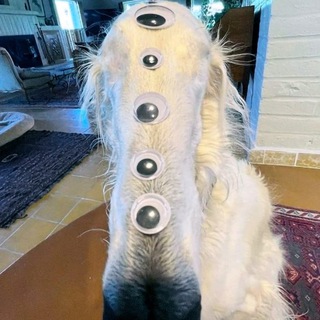 Telegram group profile photo for skipachat