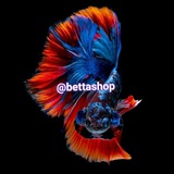 Telegram profile photo for Betta shop