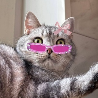 Telegram profile photo for ручка с блёстками
