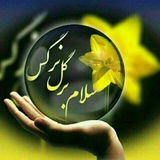 Telegram profile photo for دارالقرآن گل نرگس (عجل الله)