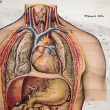 Telegram profile photo for Medical Terminology