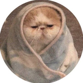 Telegram profile photo for Tripl | темы и языки 🤍