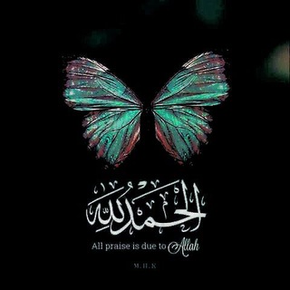 Telegram profile photo for 🦋QURAN | قُرآن🦋