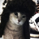 Telegram profile photo for Бибизюзя