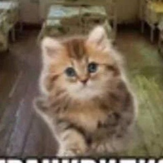 Telegram profile photo for Грузовик тян