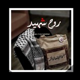 Telegram profile photo for روح شهيد