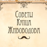 Telegram profile photo for Купец Живая Вода🖤💛🤍