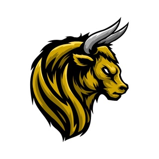 Telegram profile photo for Nayra Capital's Public Channel