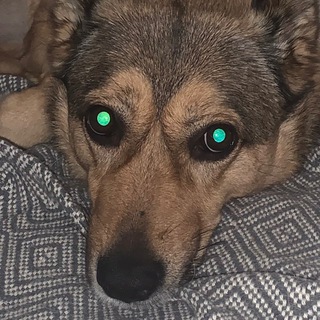 Telegram profile photo for хинка ленка