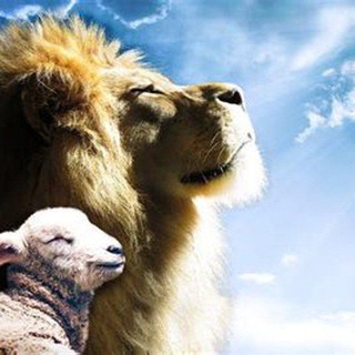 Telegram profile photo for DevoteToGod