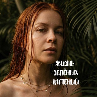 Telegram profile photo for Life of green plants ( жизнь зелёных растений)