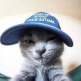 Telegram profile photo for autism leader (memes)